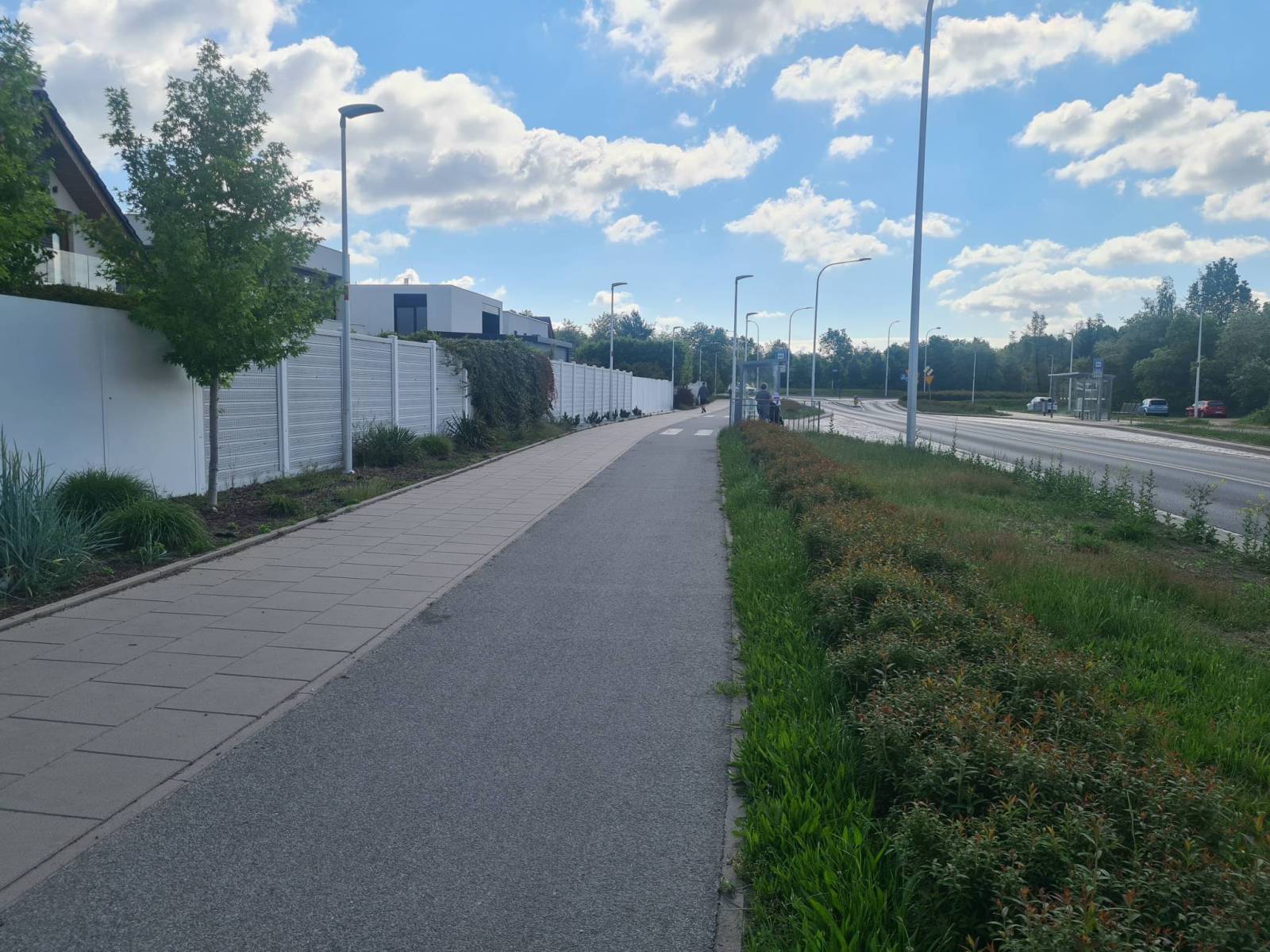 Zdjęcie 3