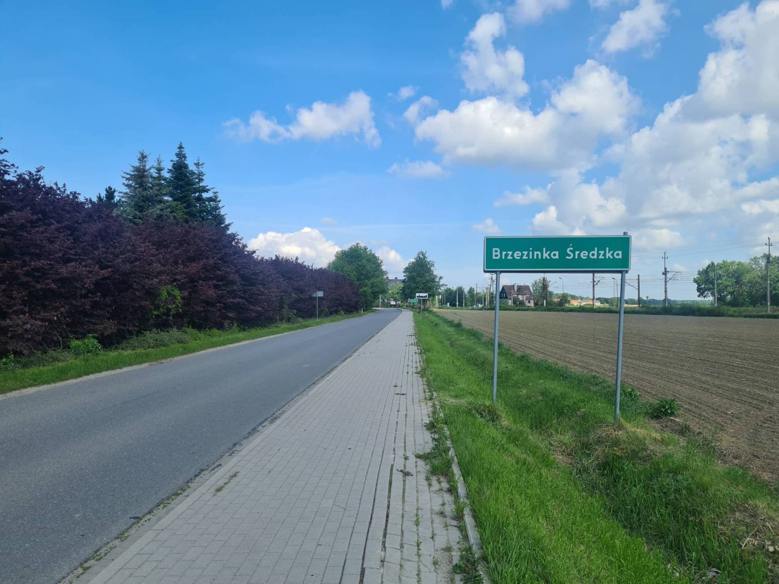 Zdjęcie 4