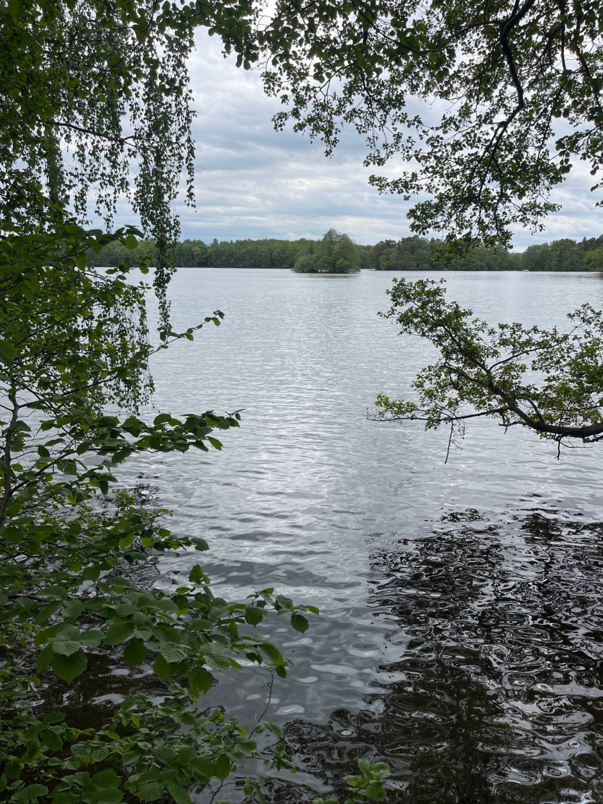 Zdjęcie 6