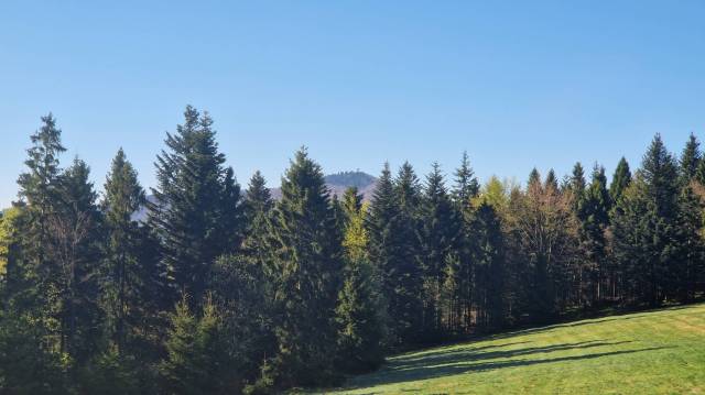 thumb-image