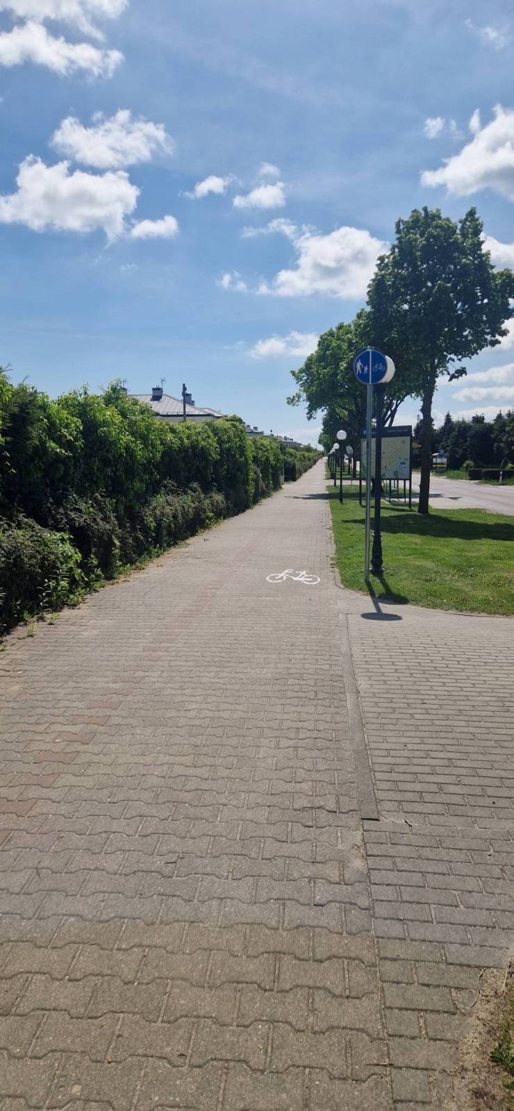 Zdjęcie 1