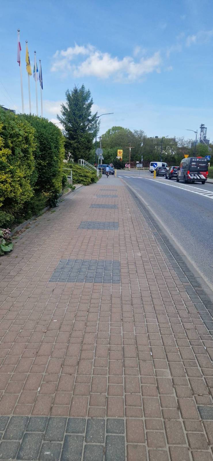 Zdjęcie 3