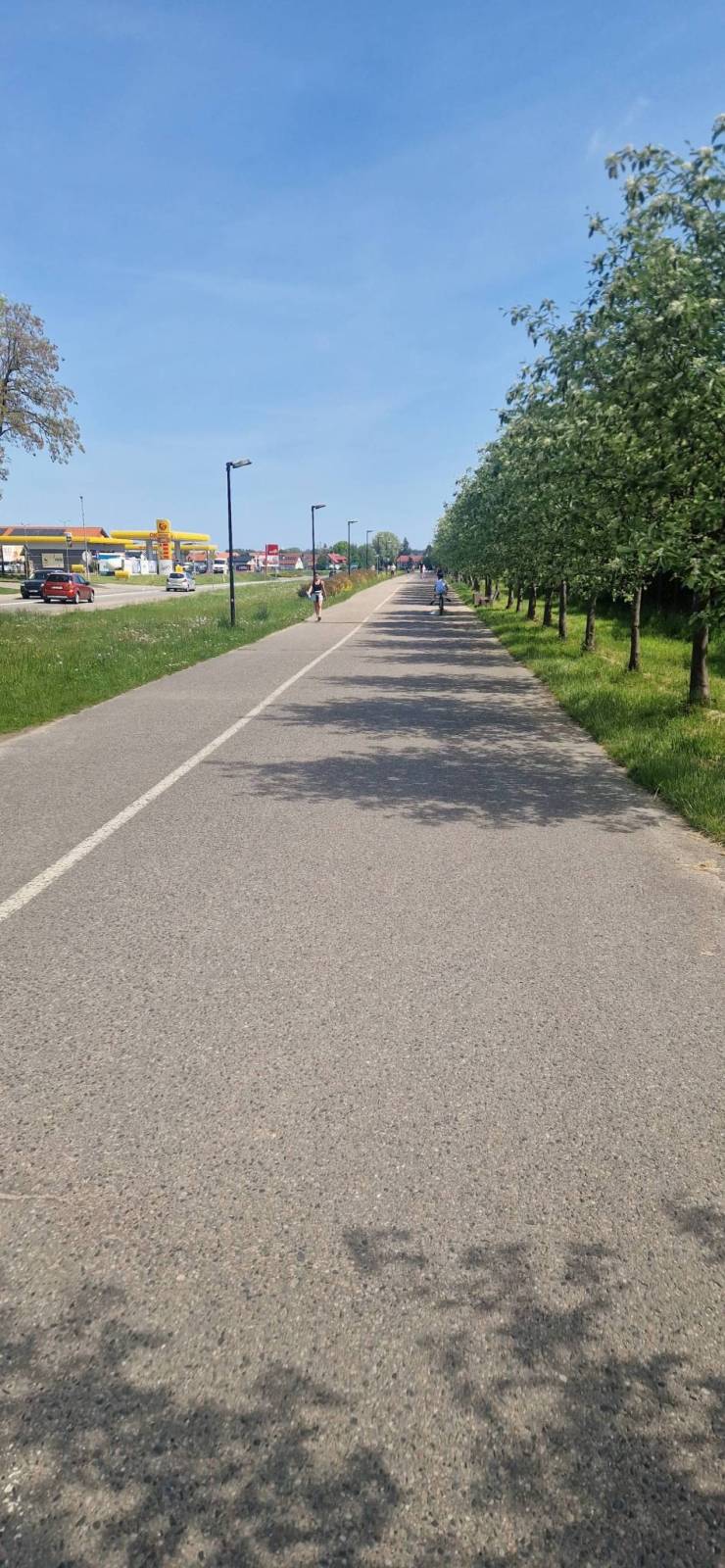 Zdjęcie 4