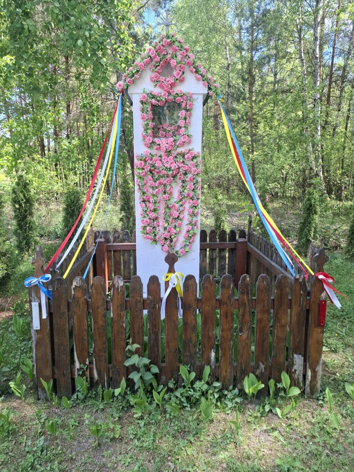 Zdjęcie 2