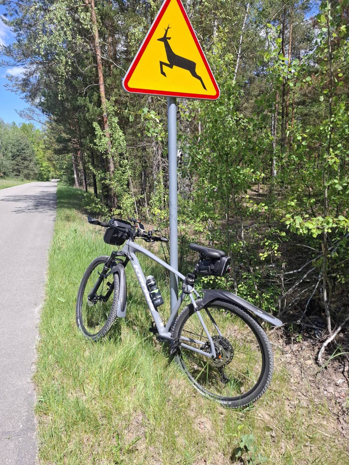 Zdjęcie 3