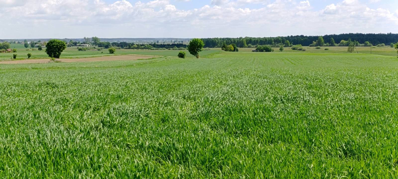 Zdjęcie 2