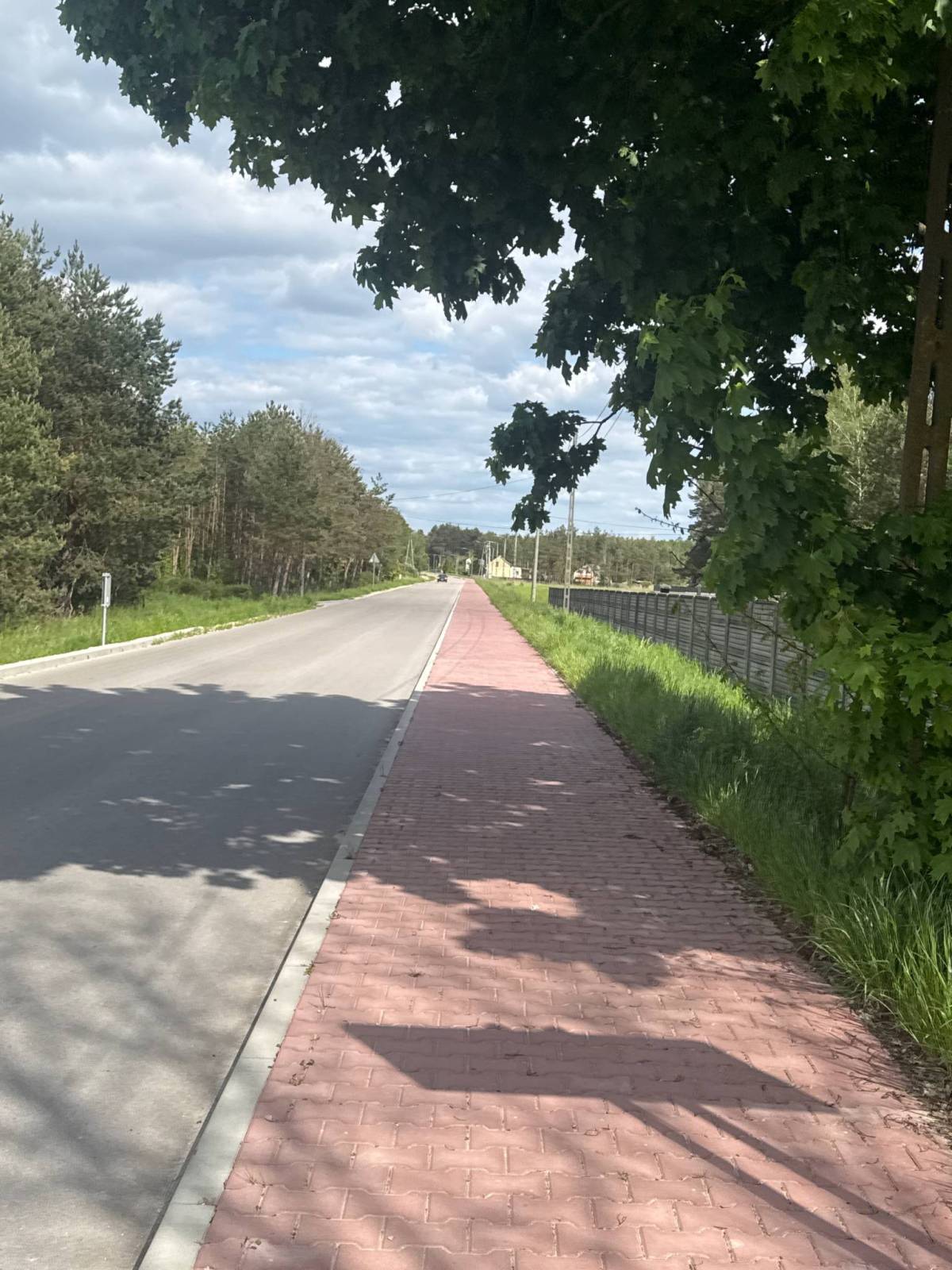Zdjęcie 2