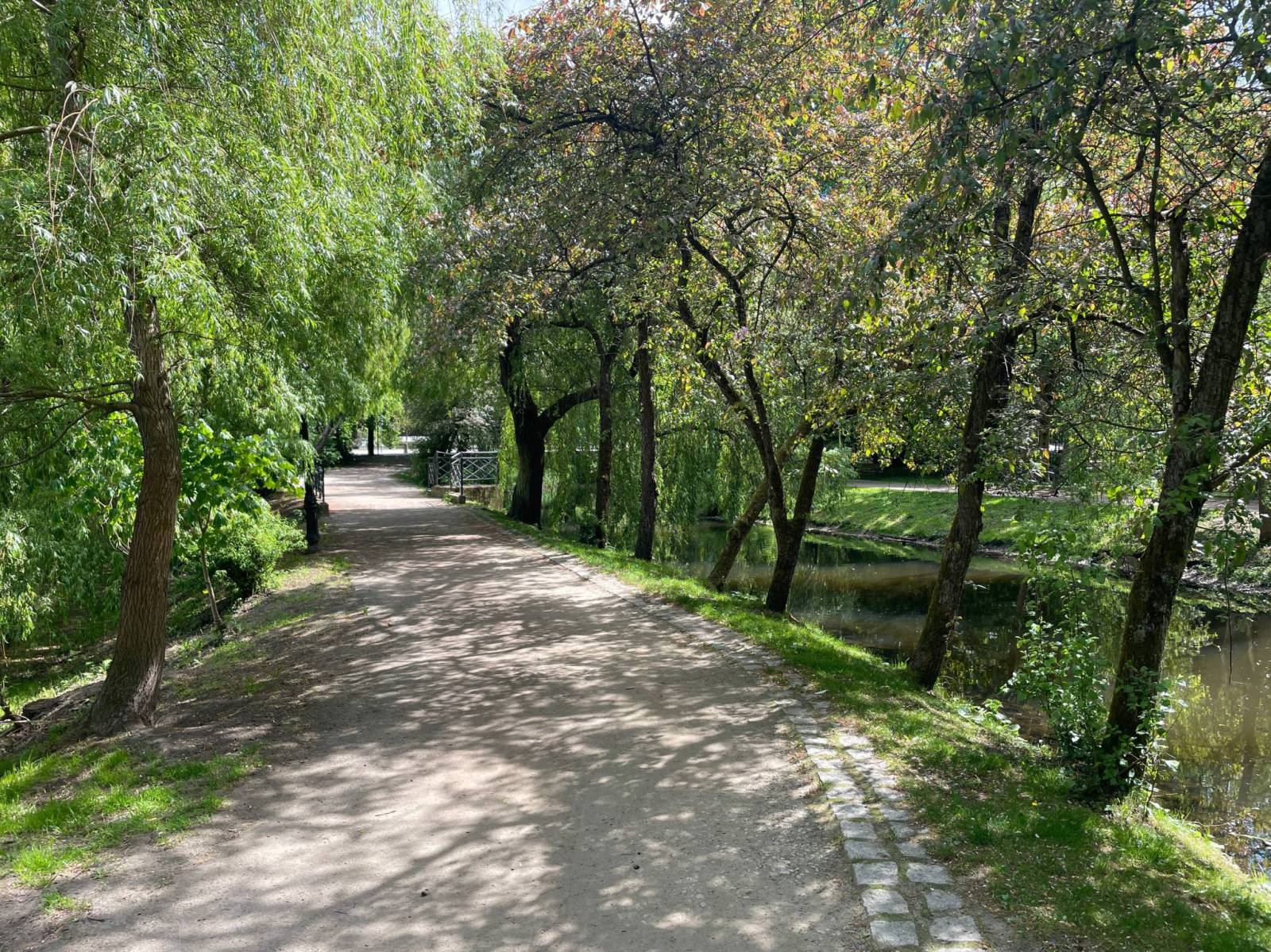 Zdjęcie 2