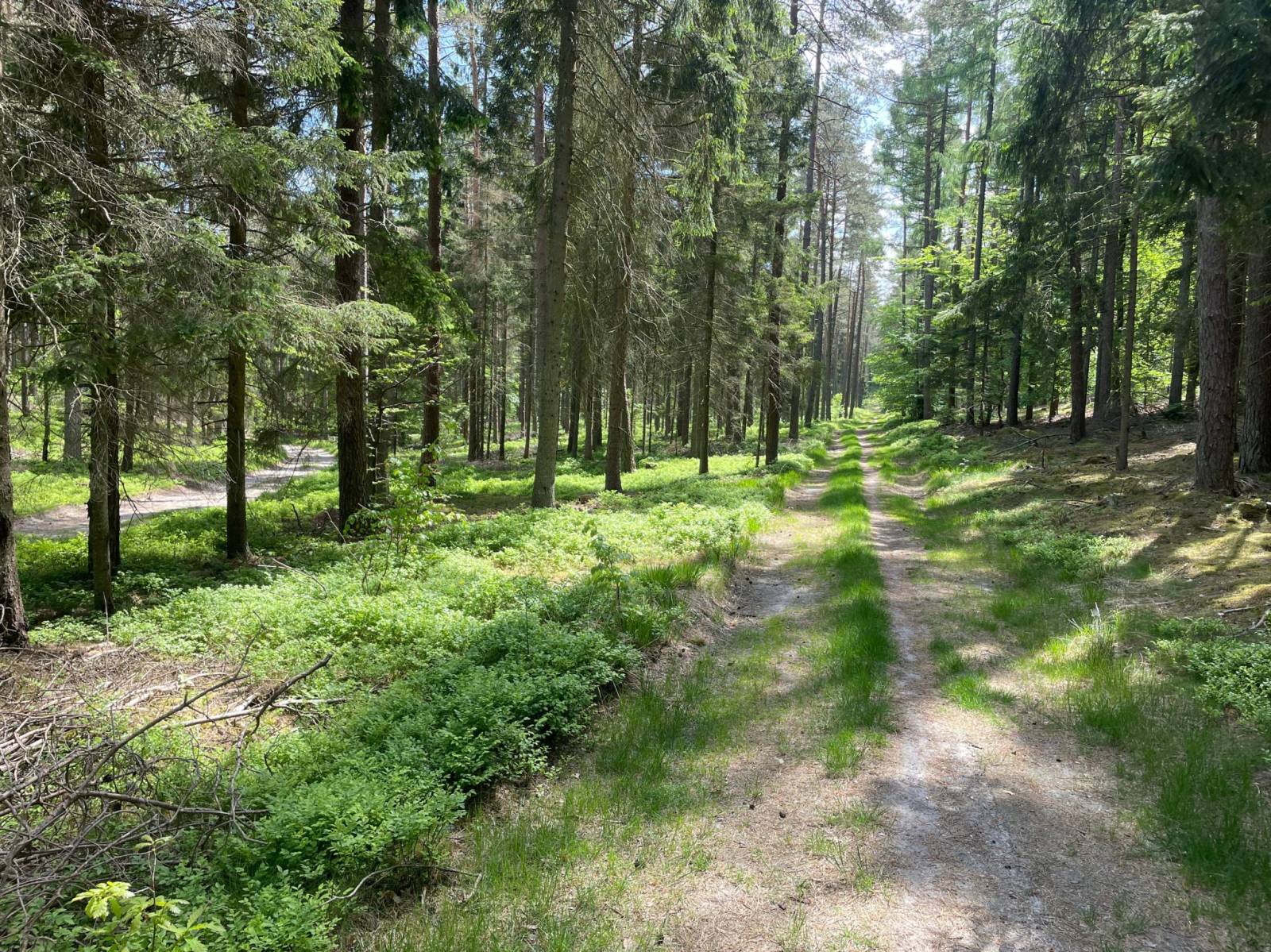 Zdjęcie 6