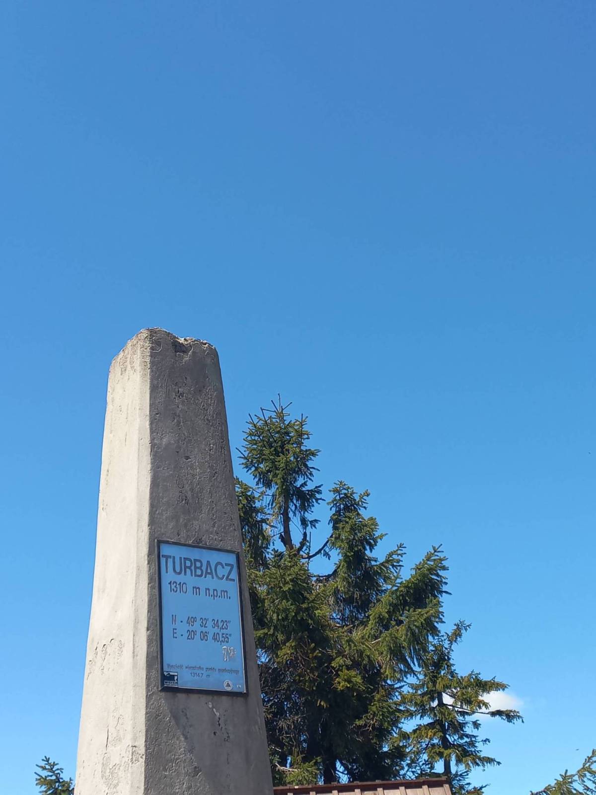 Zdjęcie 6