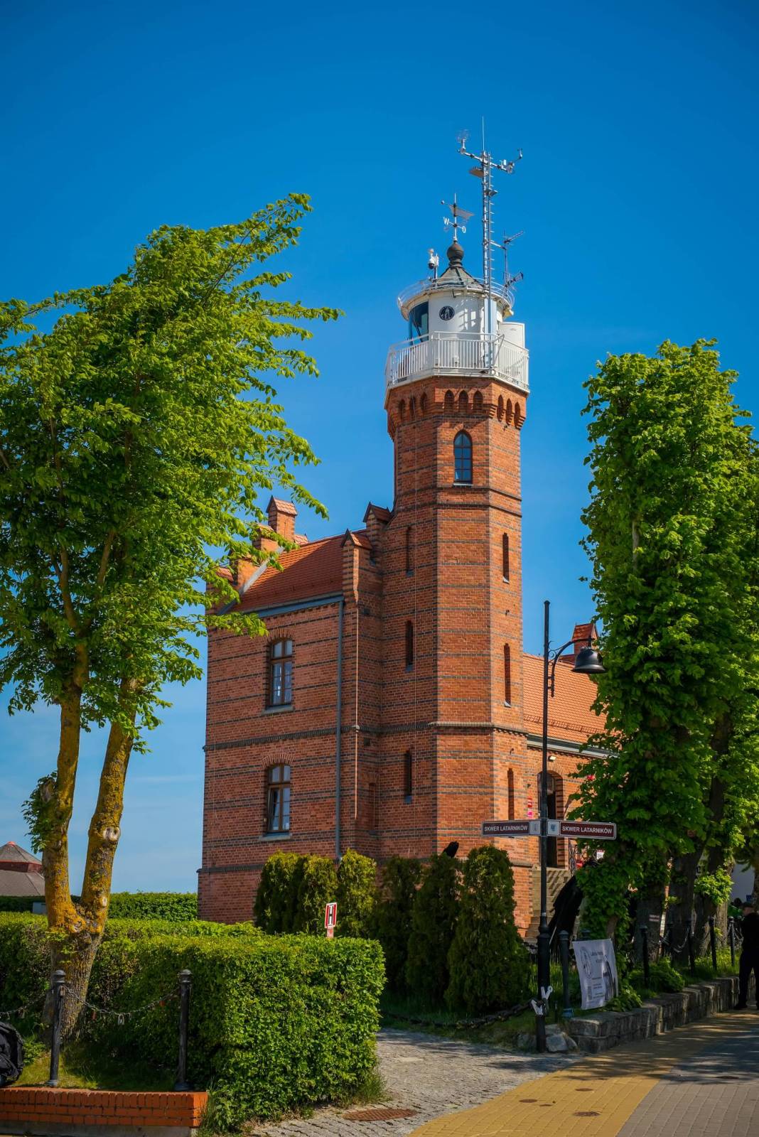 Zdjęcie 6
