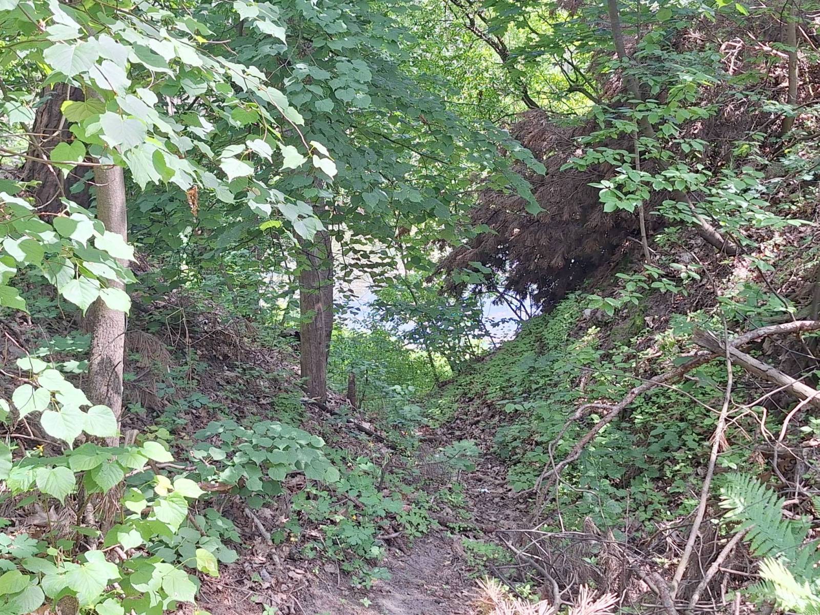 Zdjęcie 4