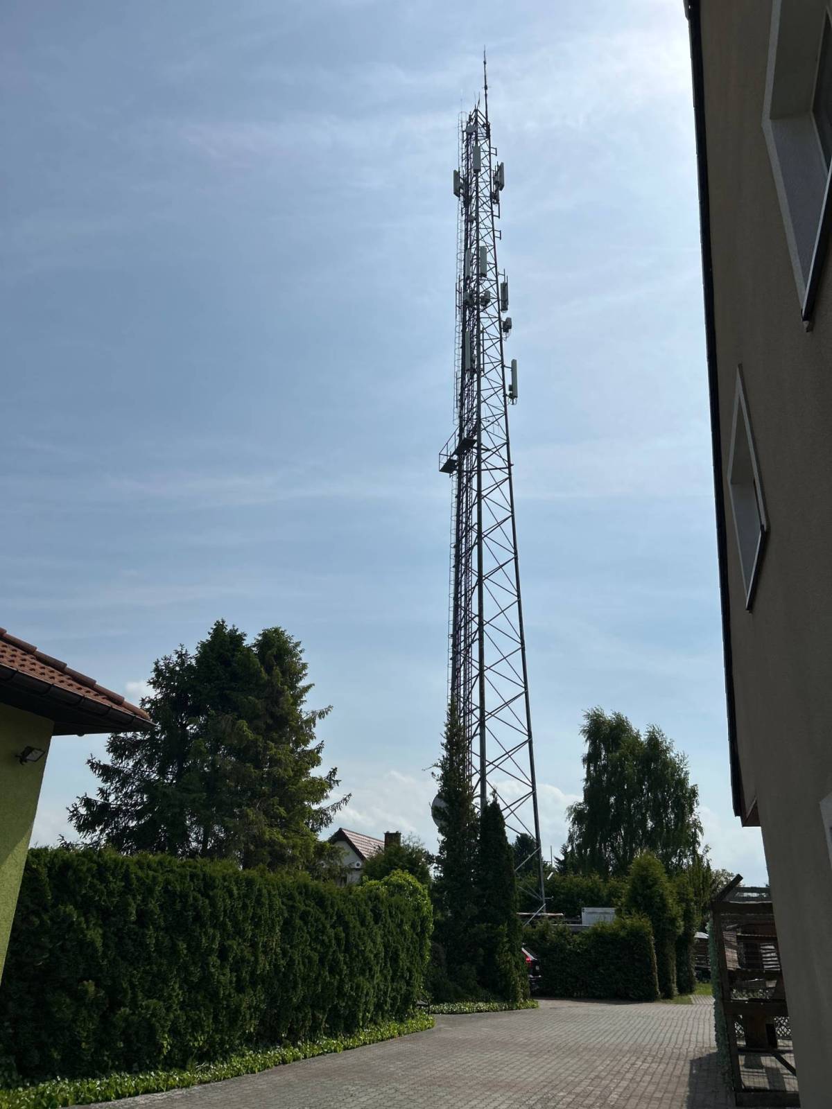Zdjęcie 1