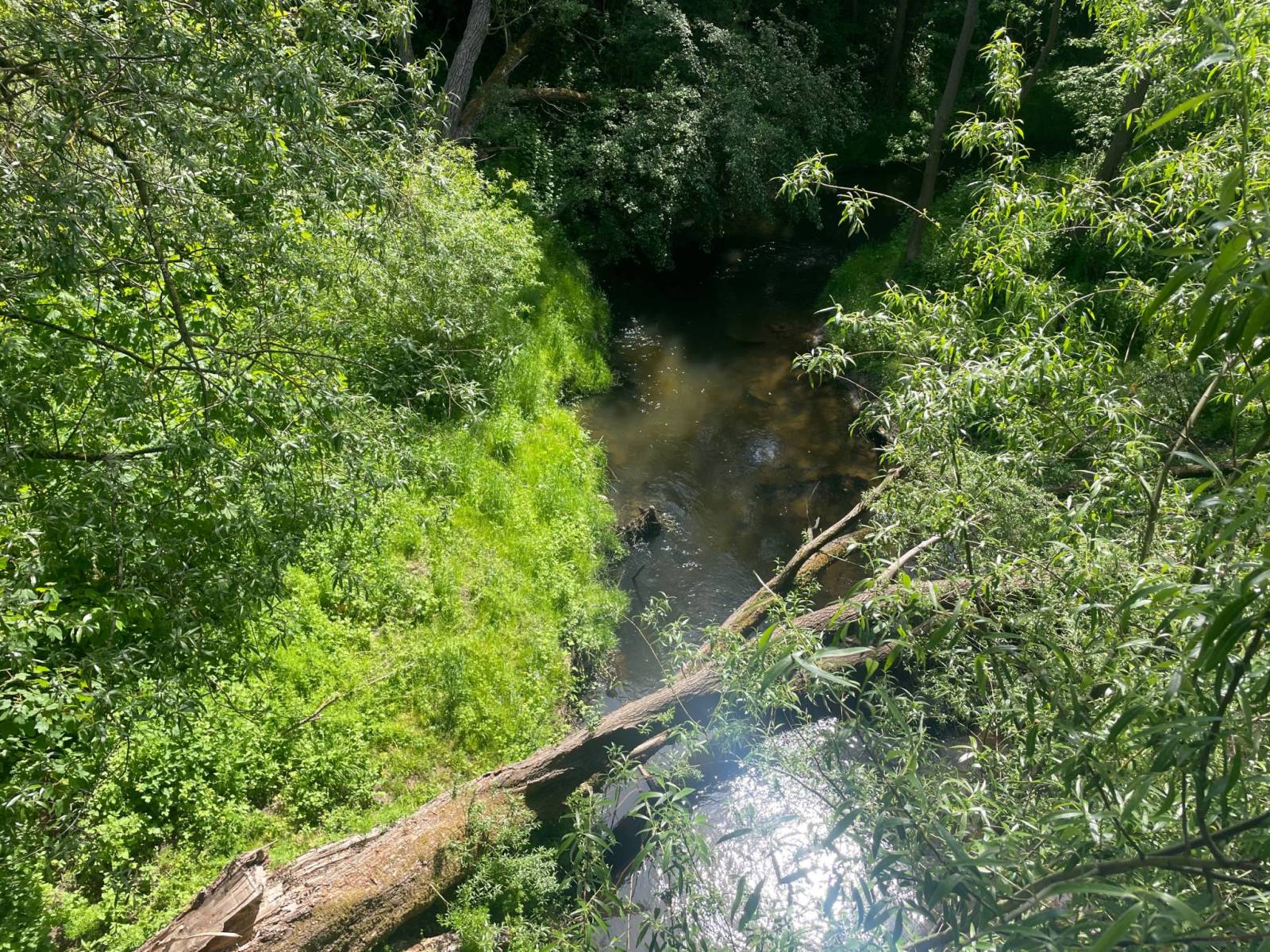 Zdjęcie 2