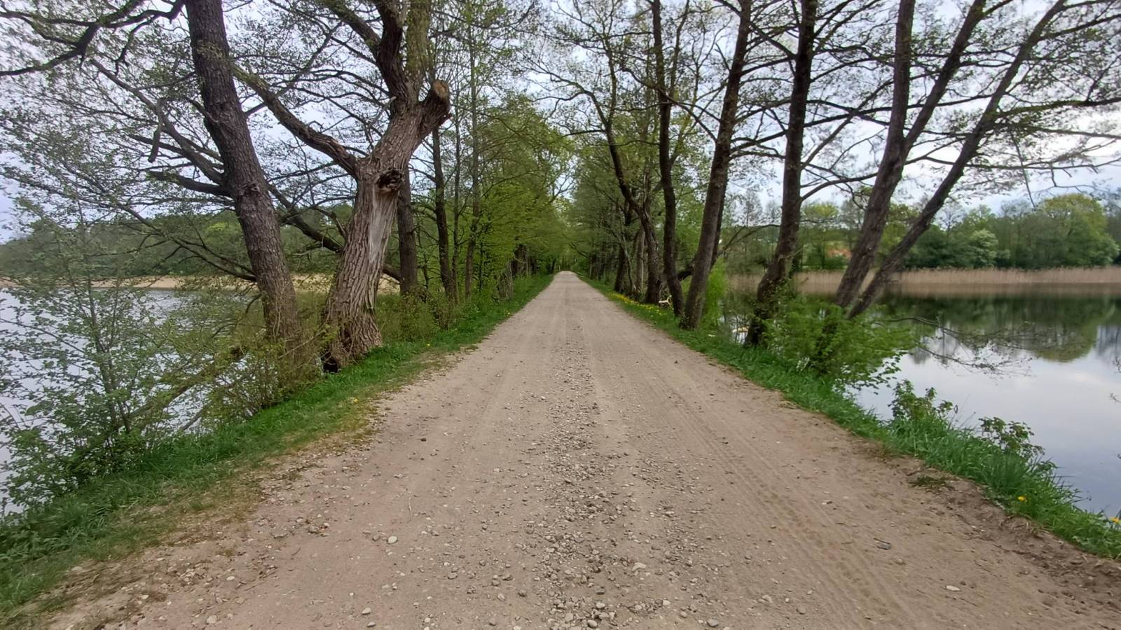 Zdjęcie 5