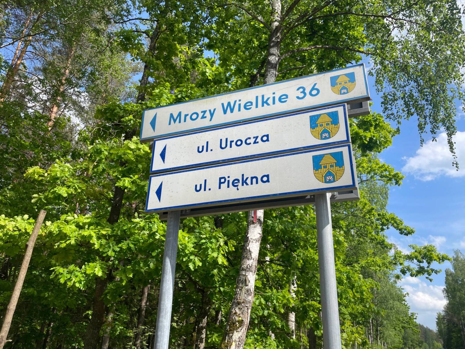 Zdjęcie 4