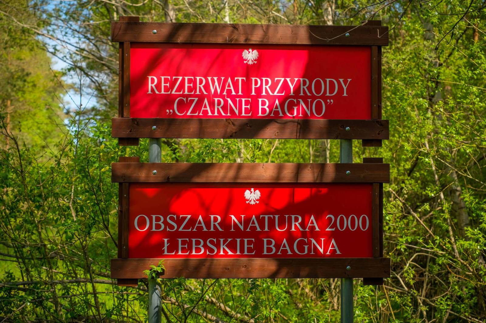 Zdjęcie 2