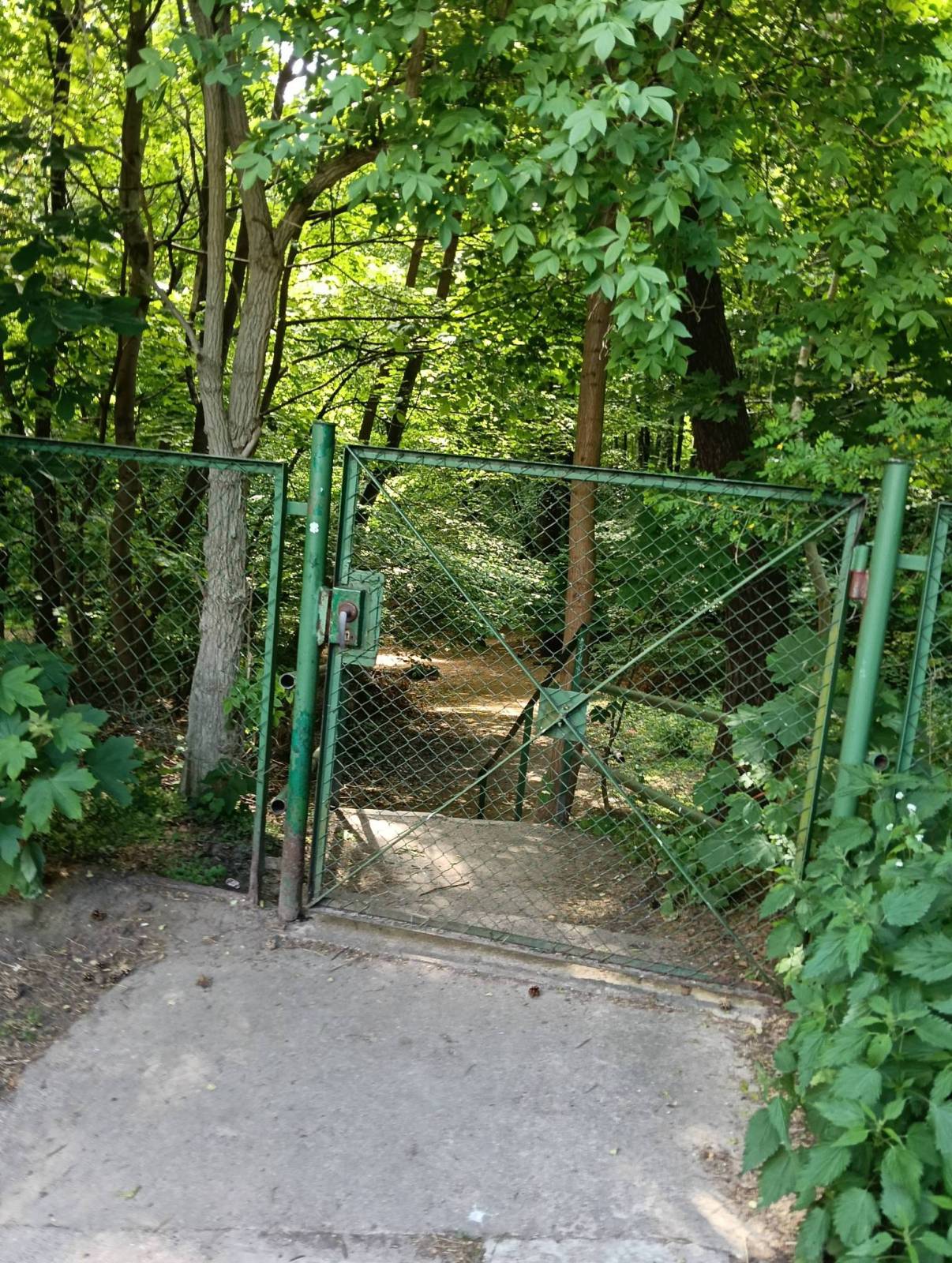 Zdjęcie 4