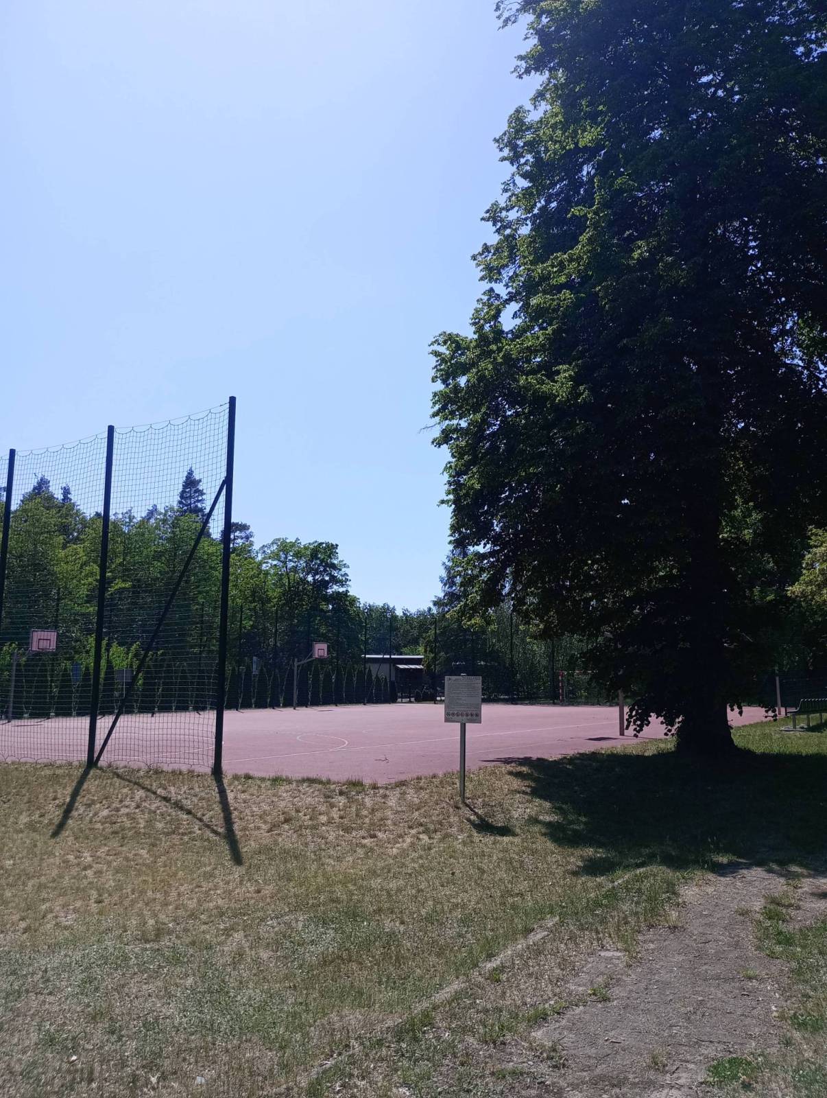 Zdjęcie 2