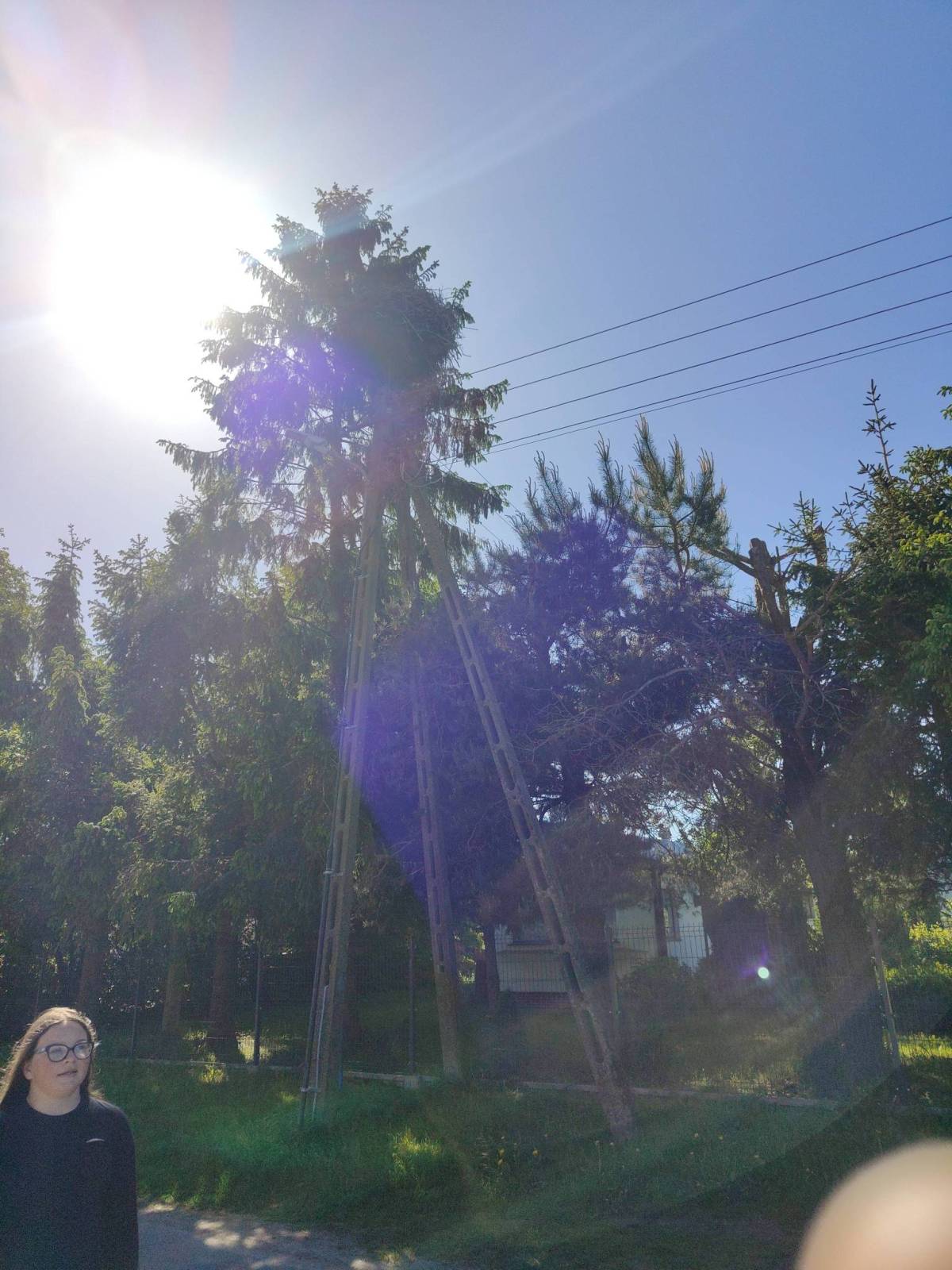 Zdjęcie 6