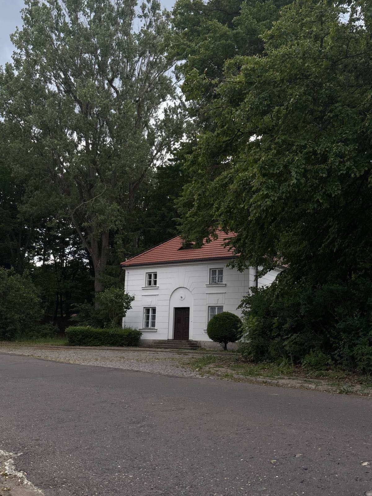 Zdjęcie 4