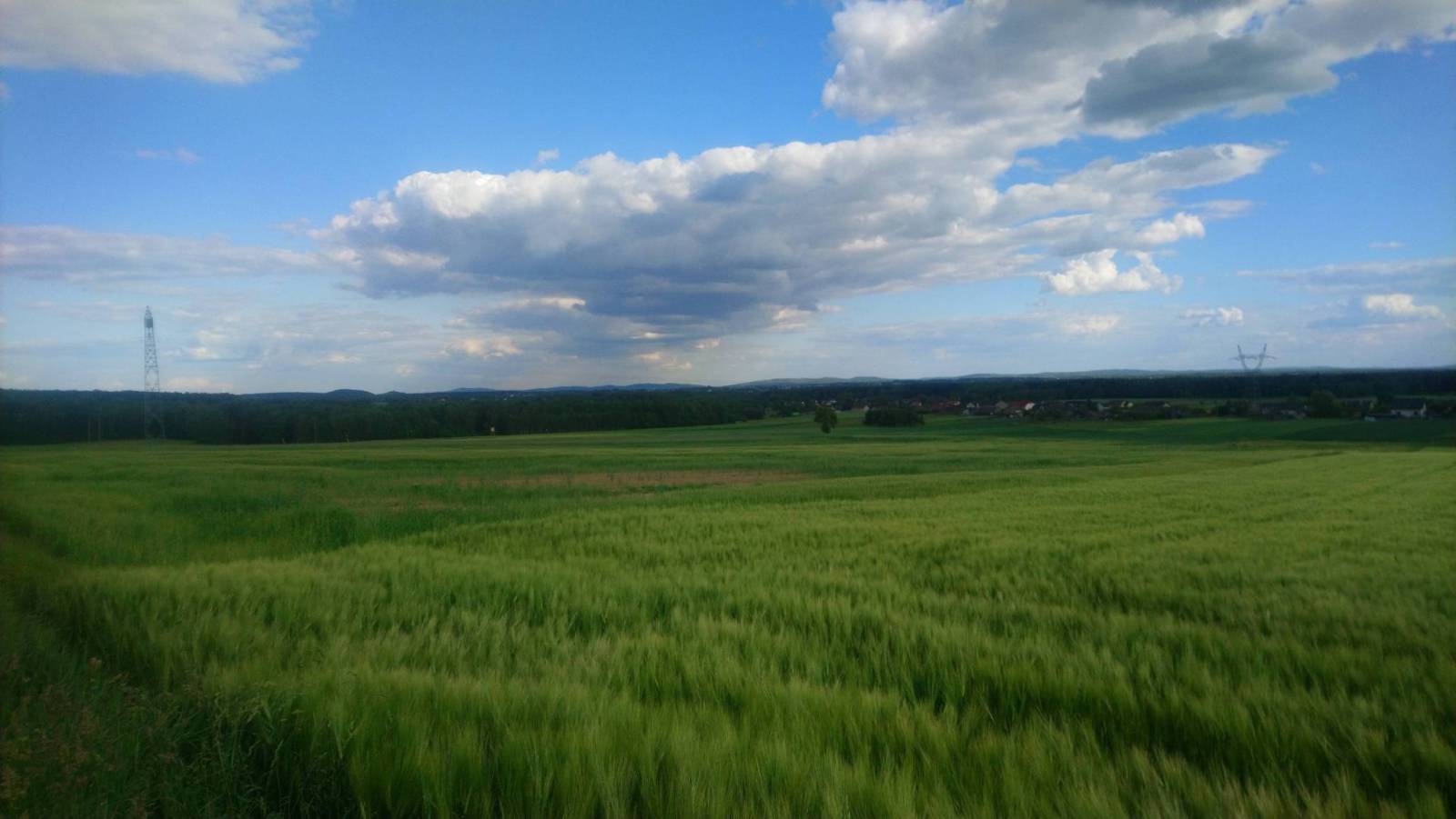 Zdjęcie 6