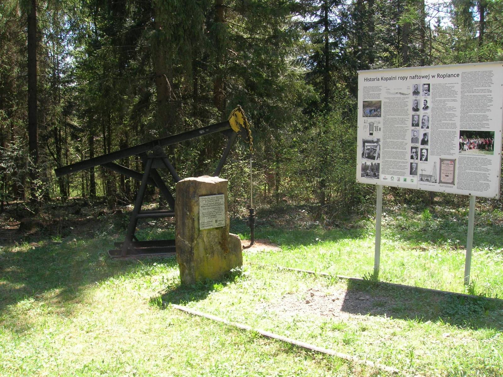 Zdjęcie 6
