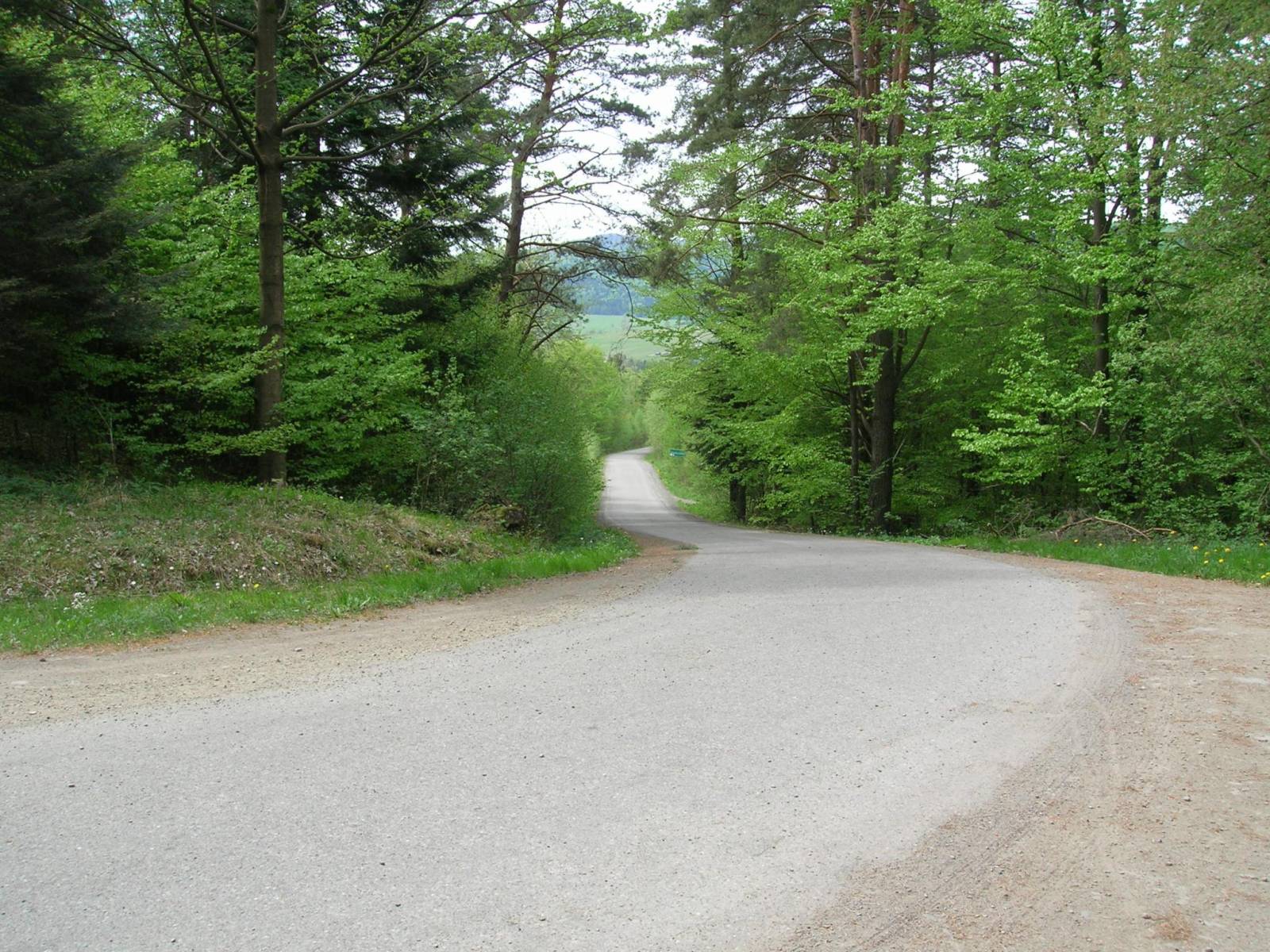 Zdjęcie 5