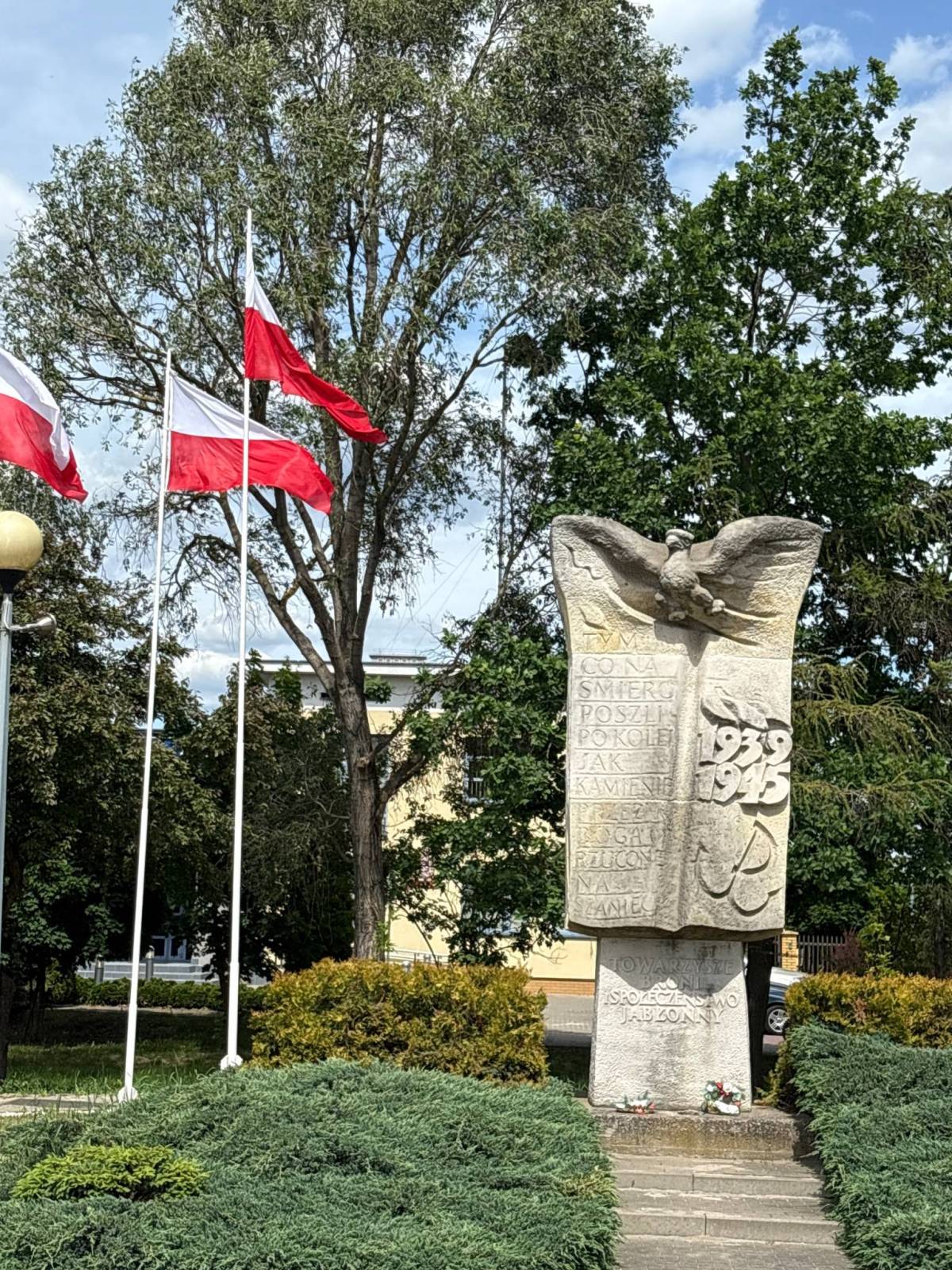 Zdjęcie 6