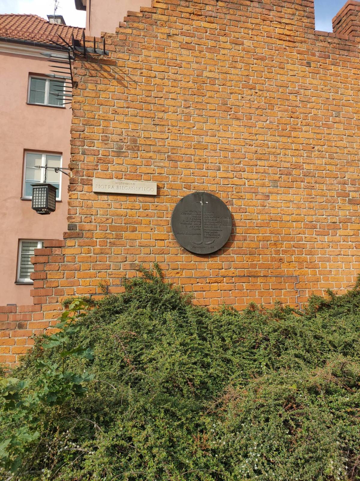 Zdjęcie 6
