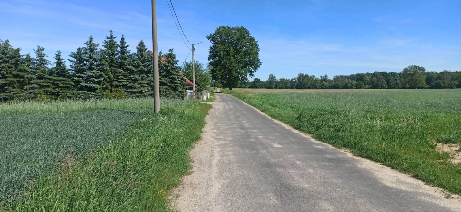 Zdjęcie 5