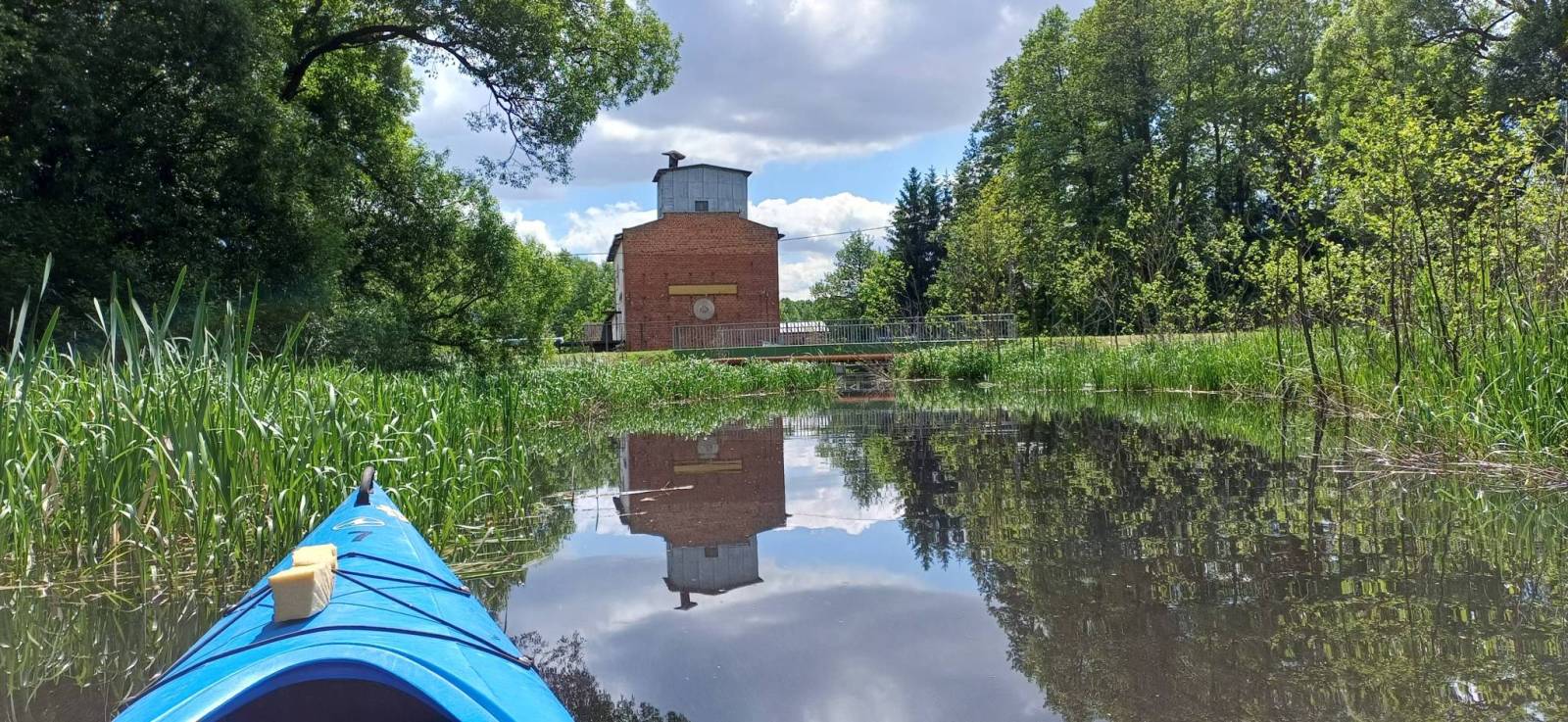 Zdjęcie 1