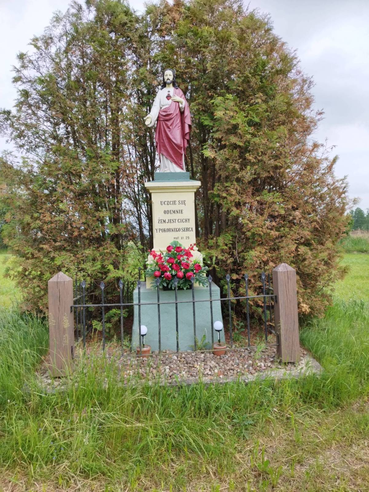 Zdjęcie 4