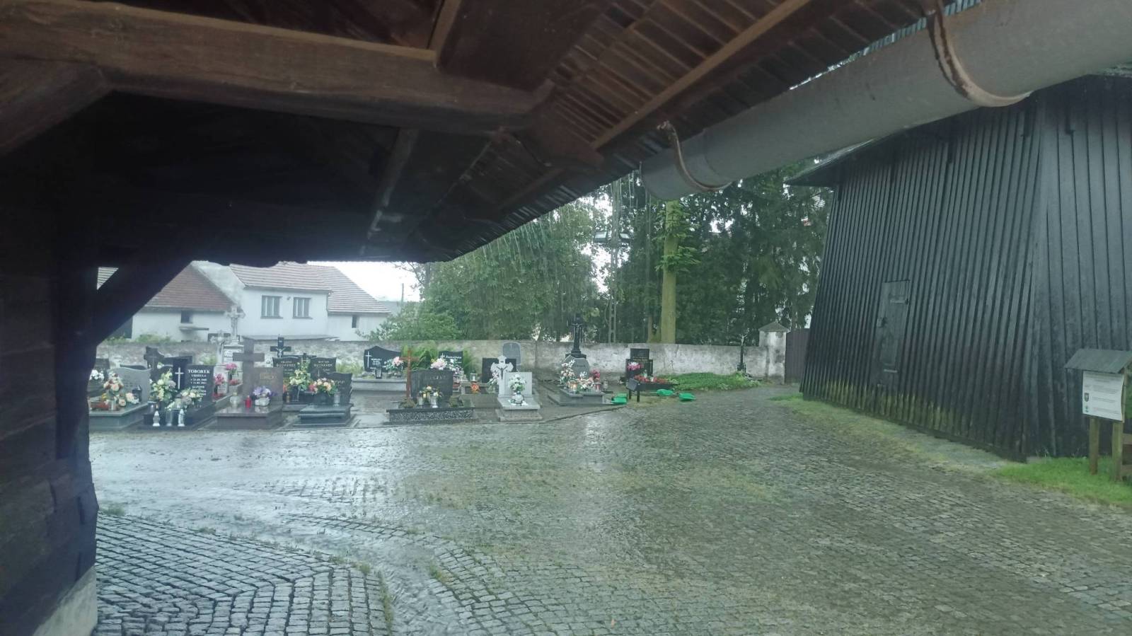 Zdjęcie 1