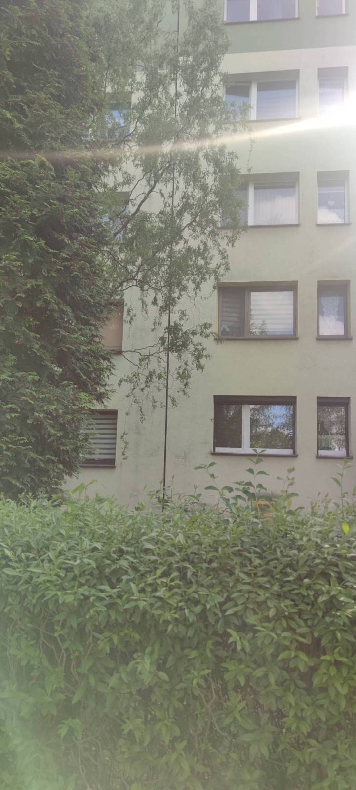 Zdjęcie 1
