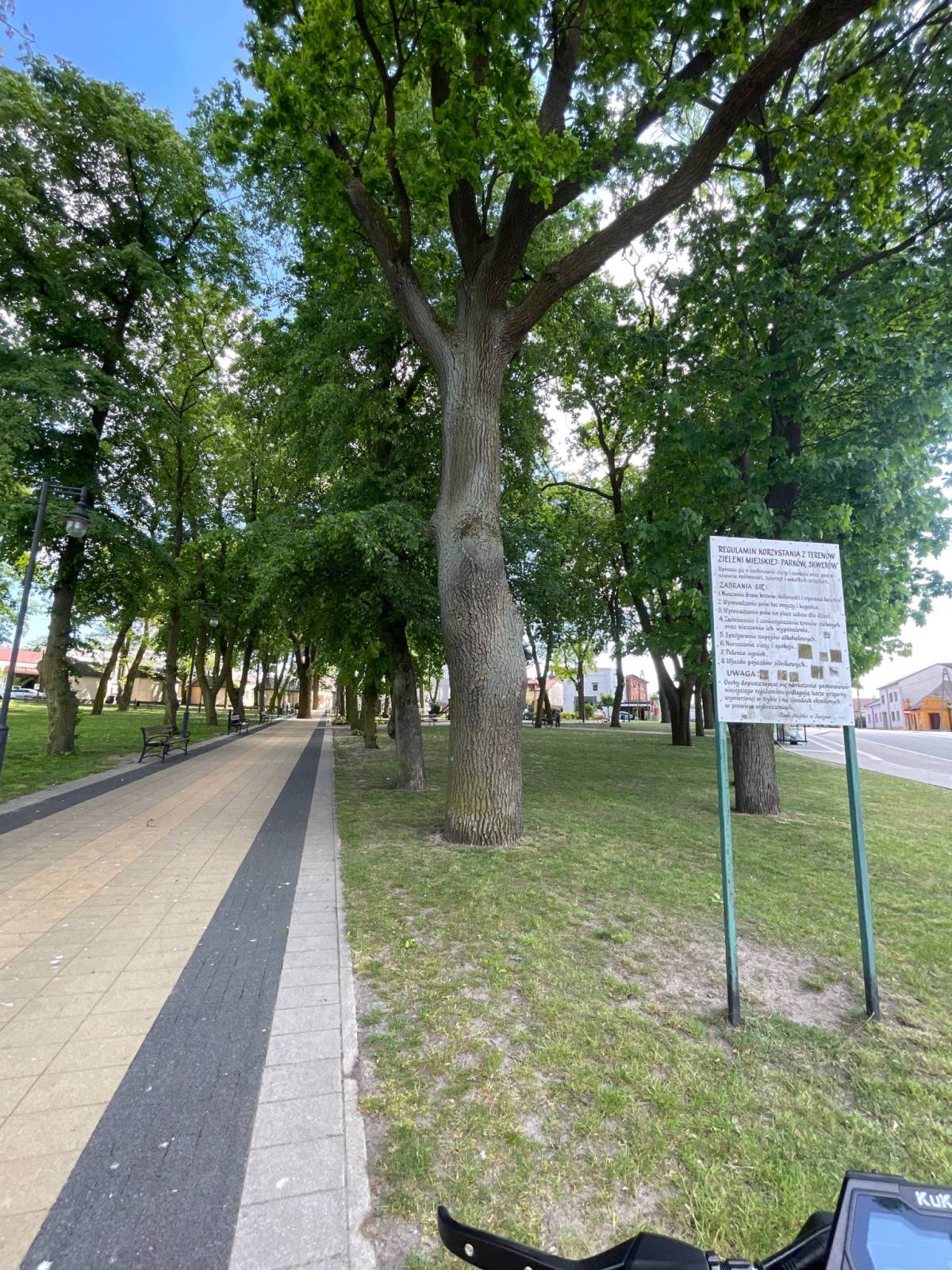 Zdjęcie 5