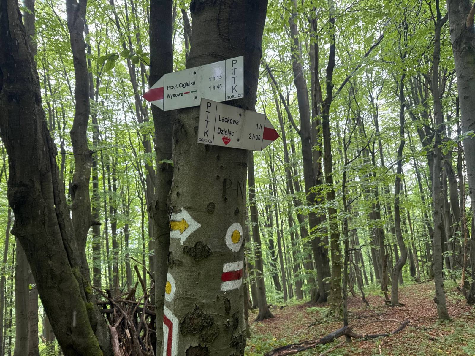 Zdjęcie 2