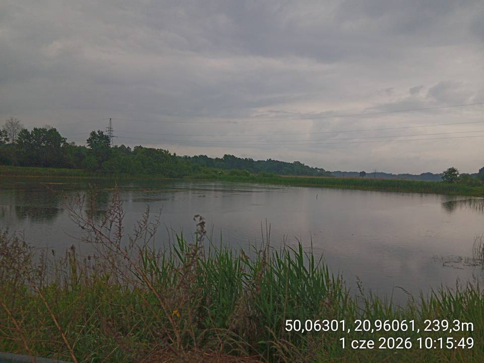 Zdjęcie 1