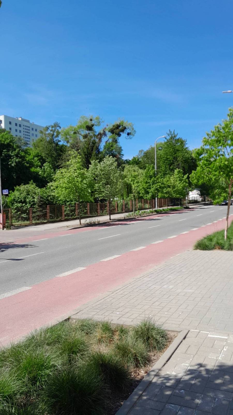 Zdjęcie 3