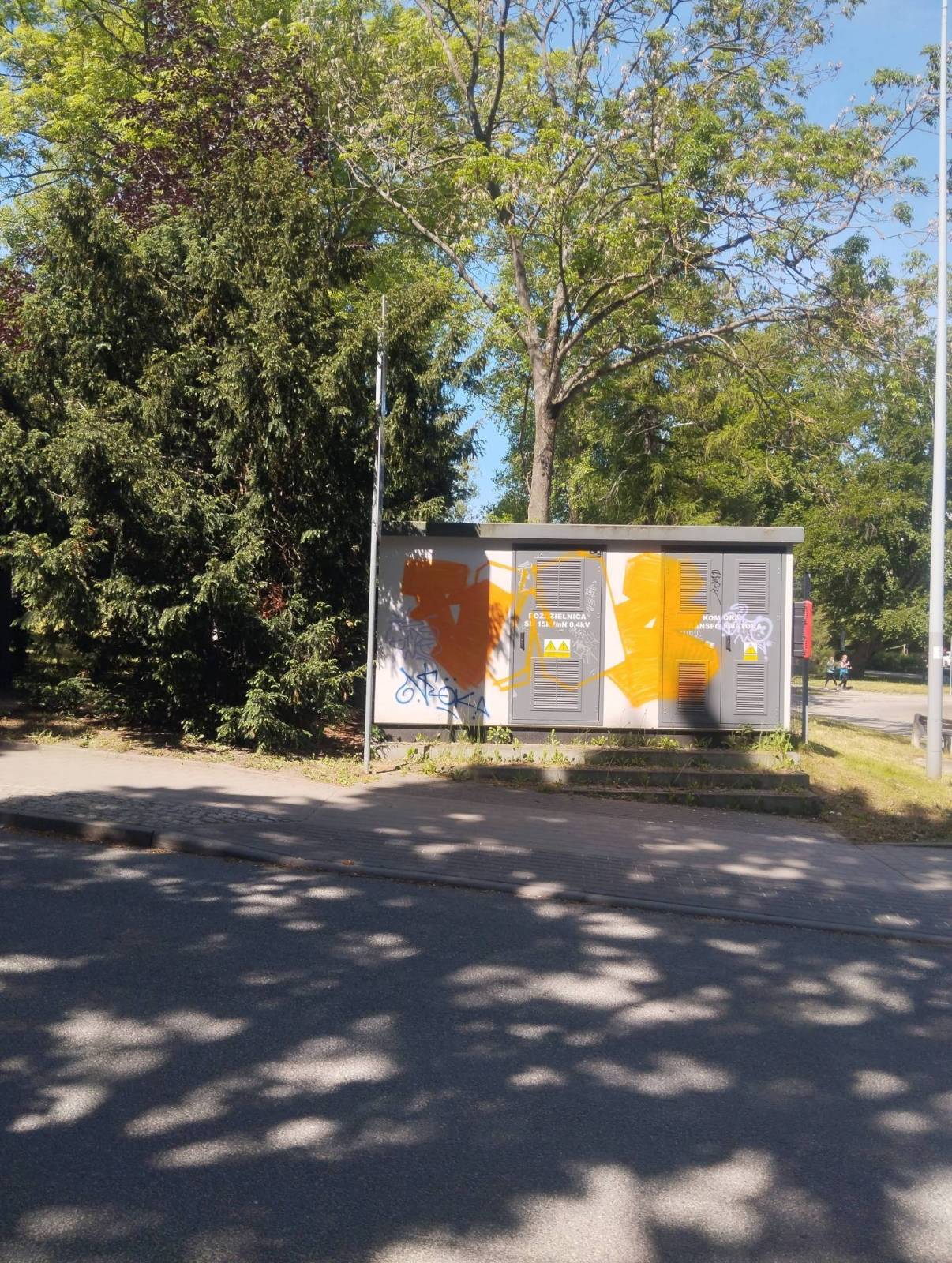 Zdjęcie 3