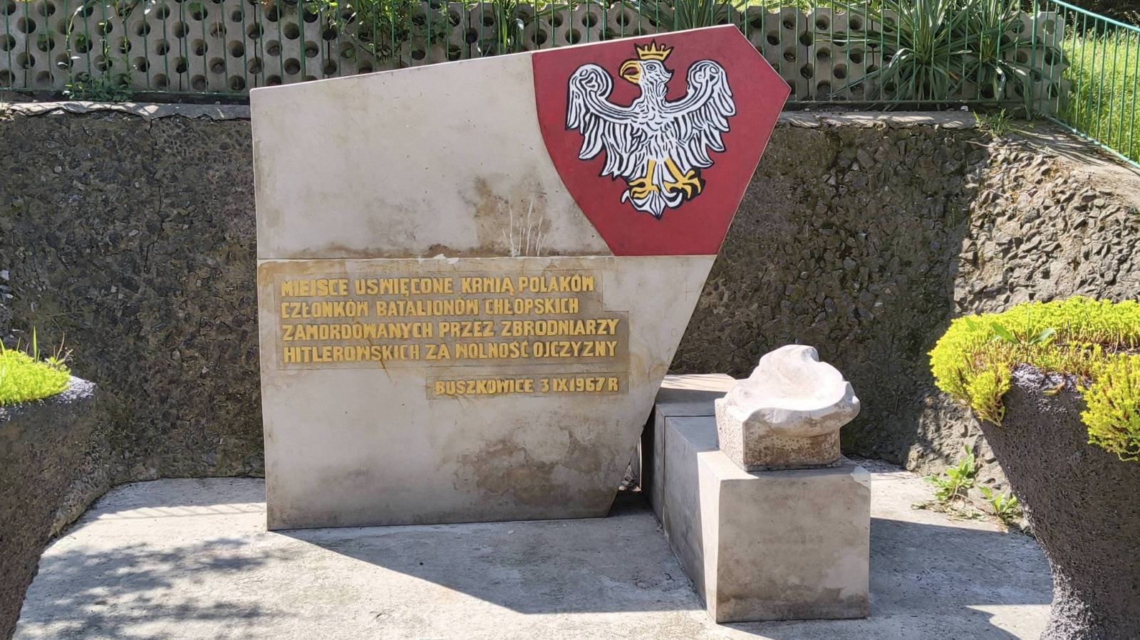 Zdjęcie 5