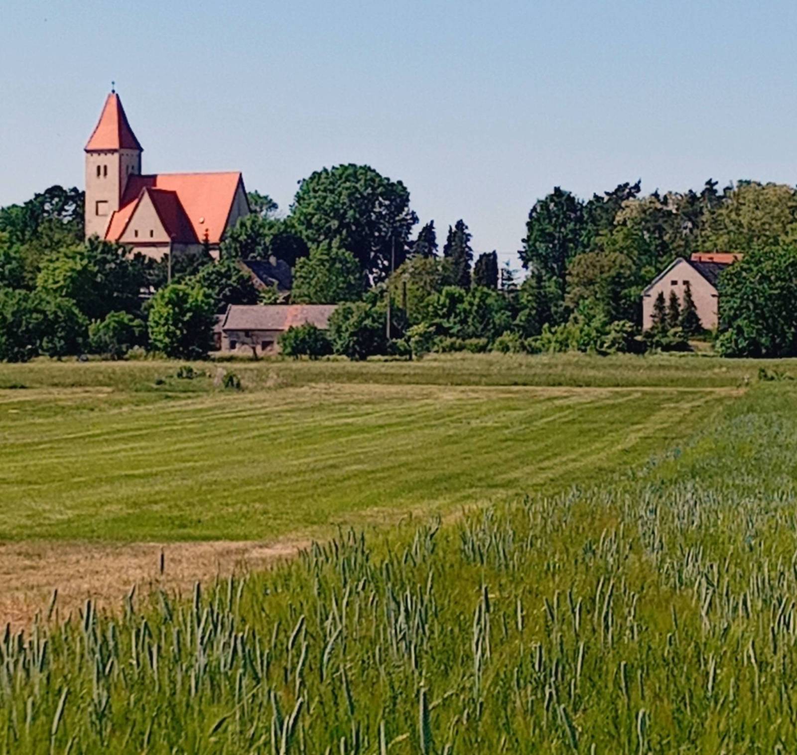Zdjęcie 4