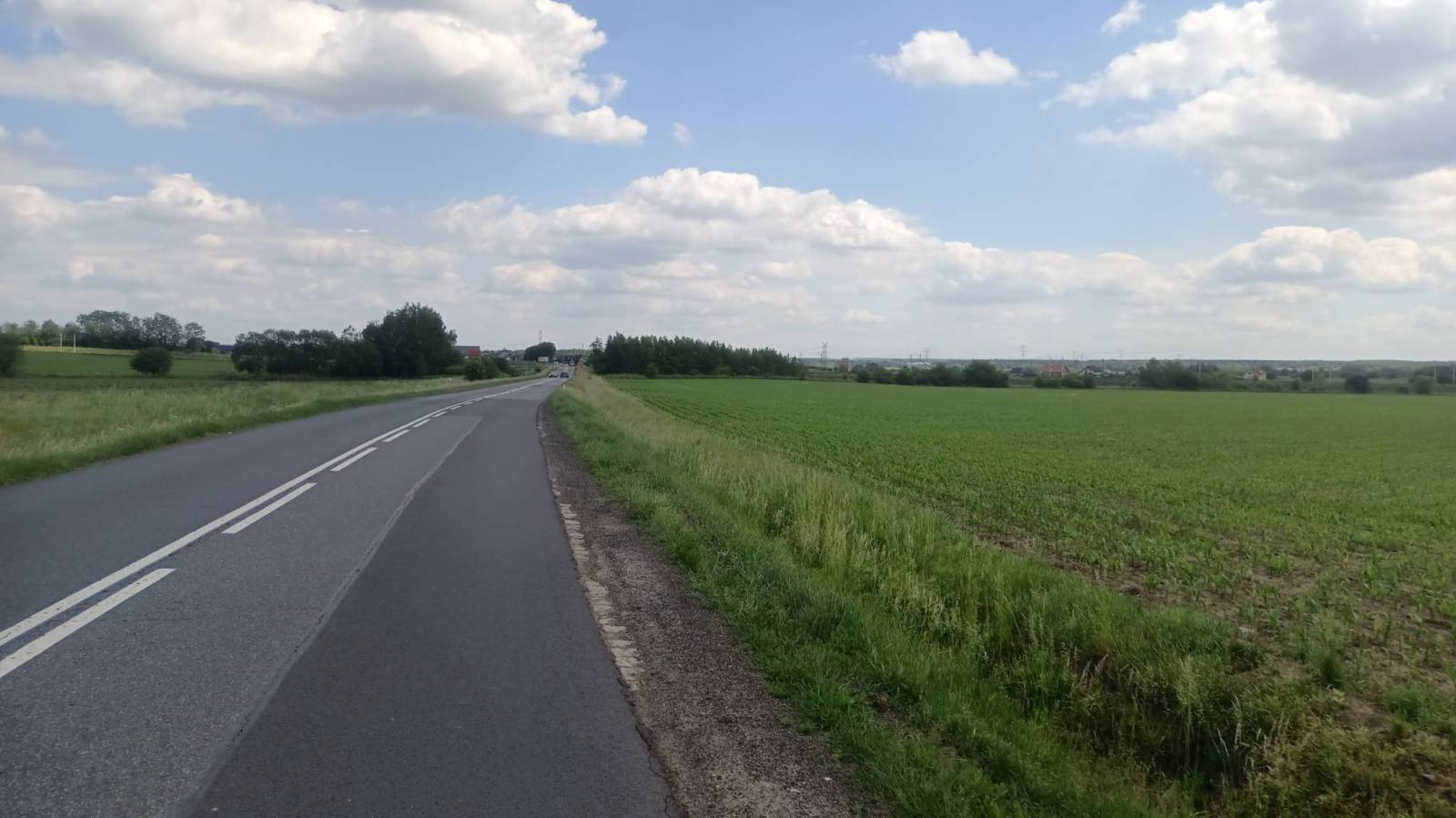 Zdjęcie 4