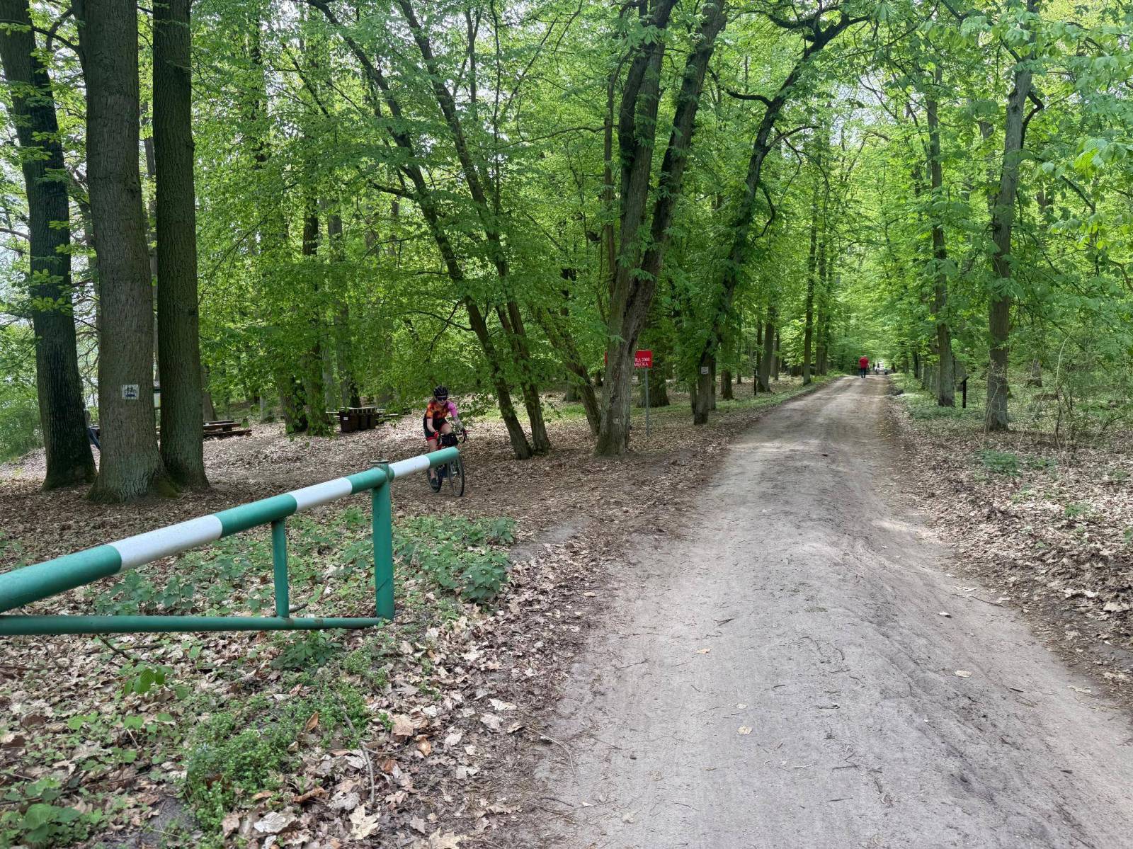 Zdjęcie 2