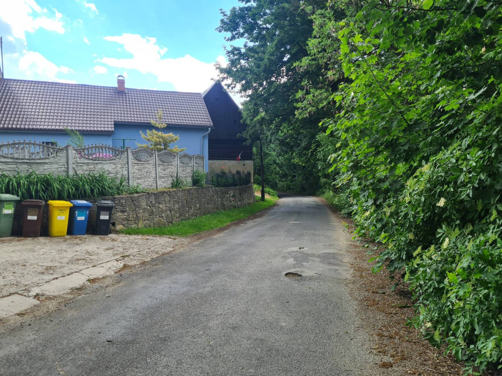 Zdjęcie 4