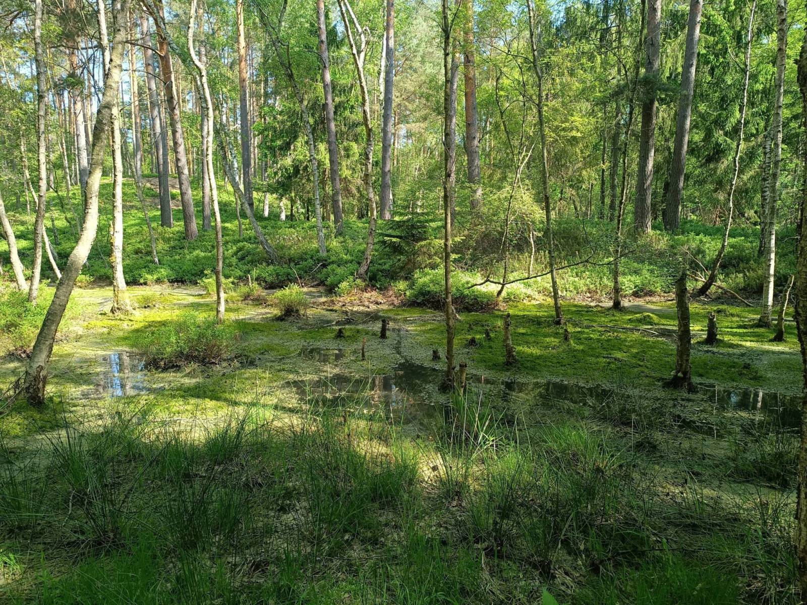 Zdjęcie 4