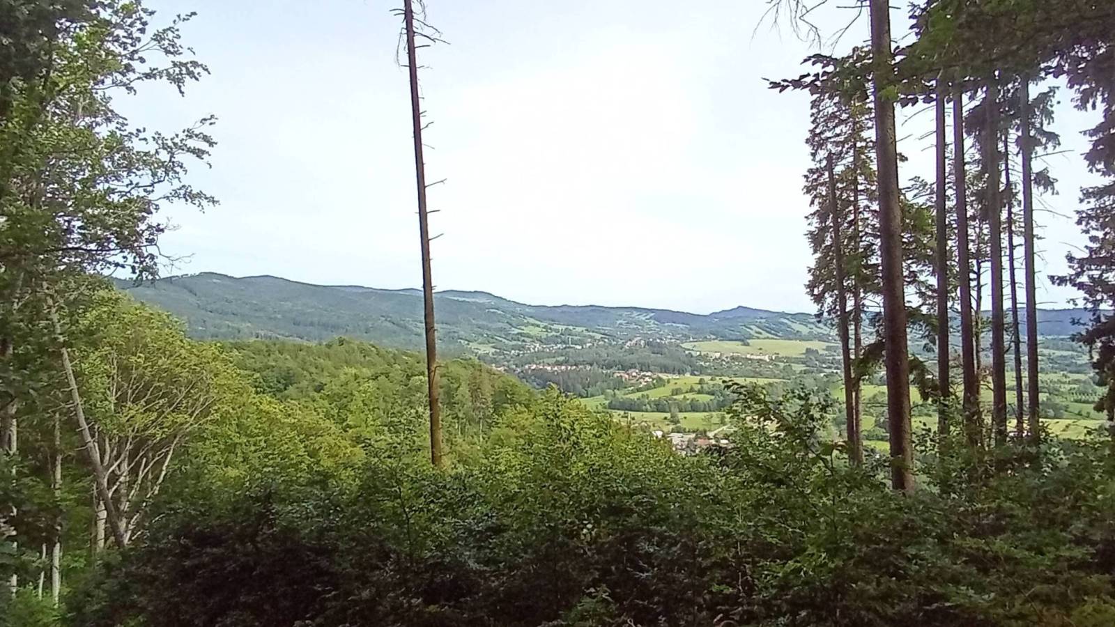 Zdjęcie 3