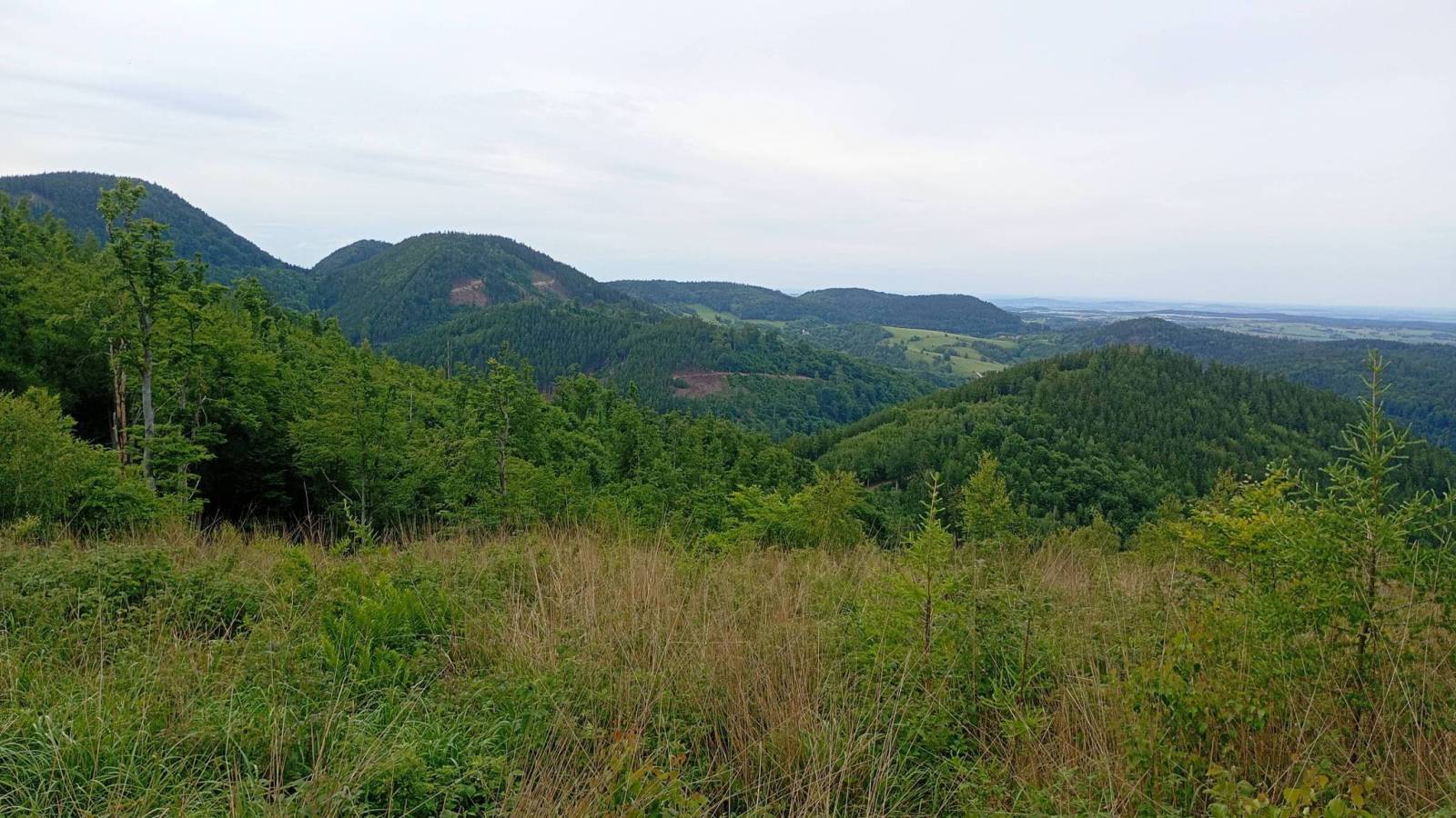 Zdjęcie 6