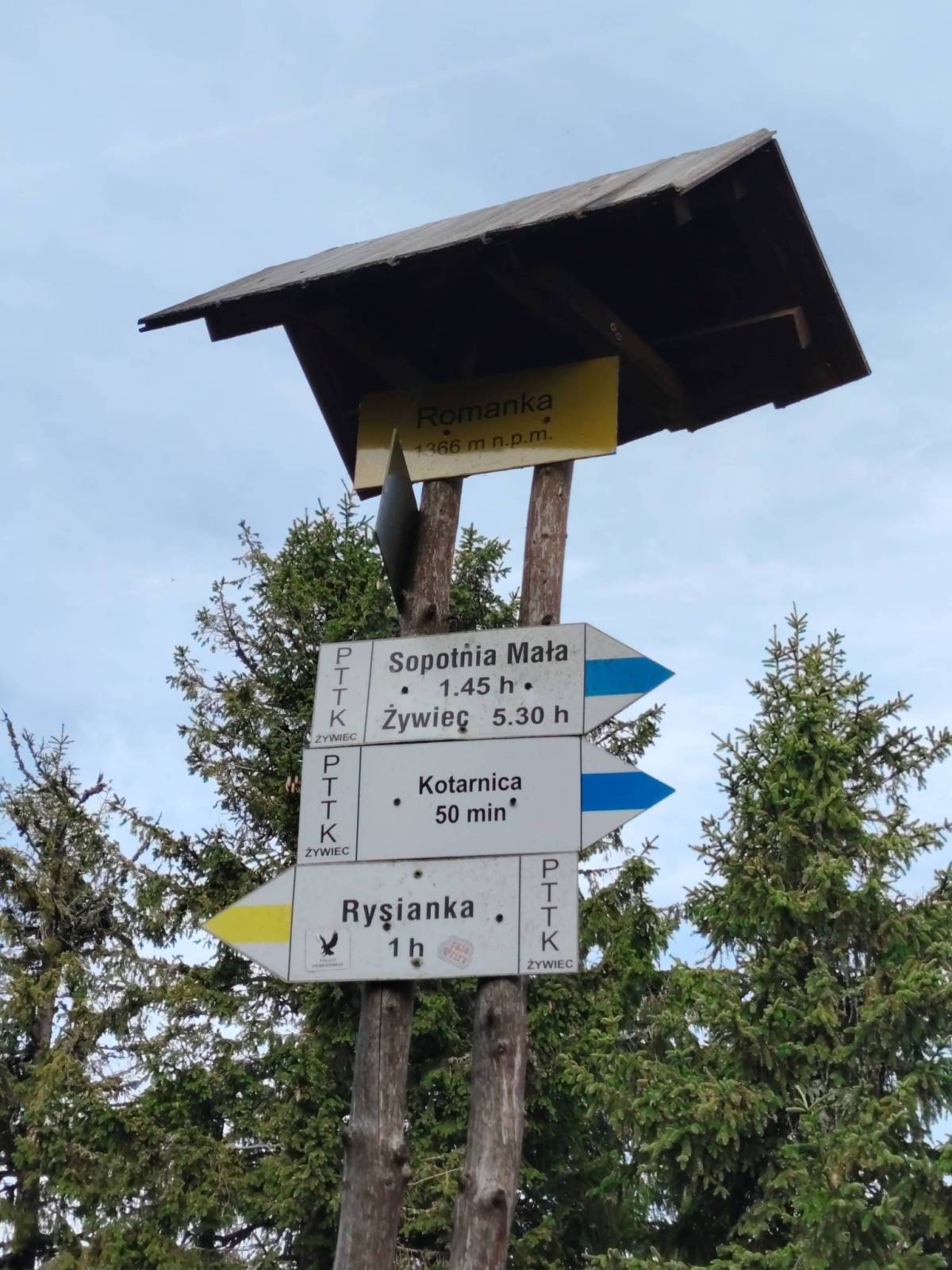 Zdjęcie 3