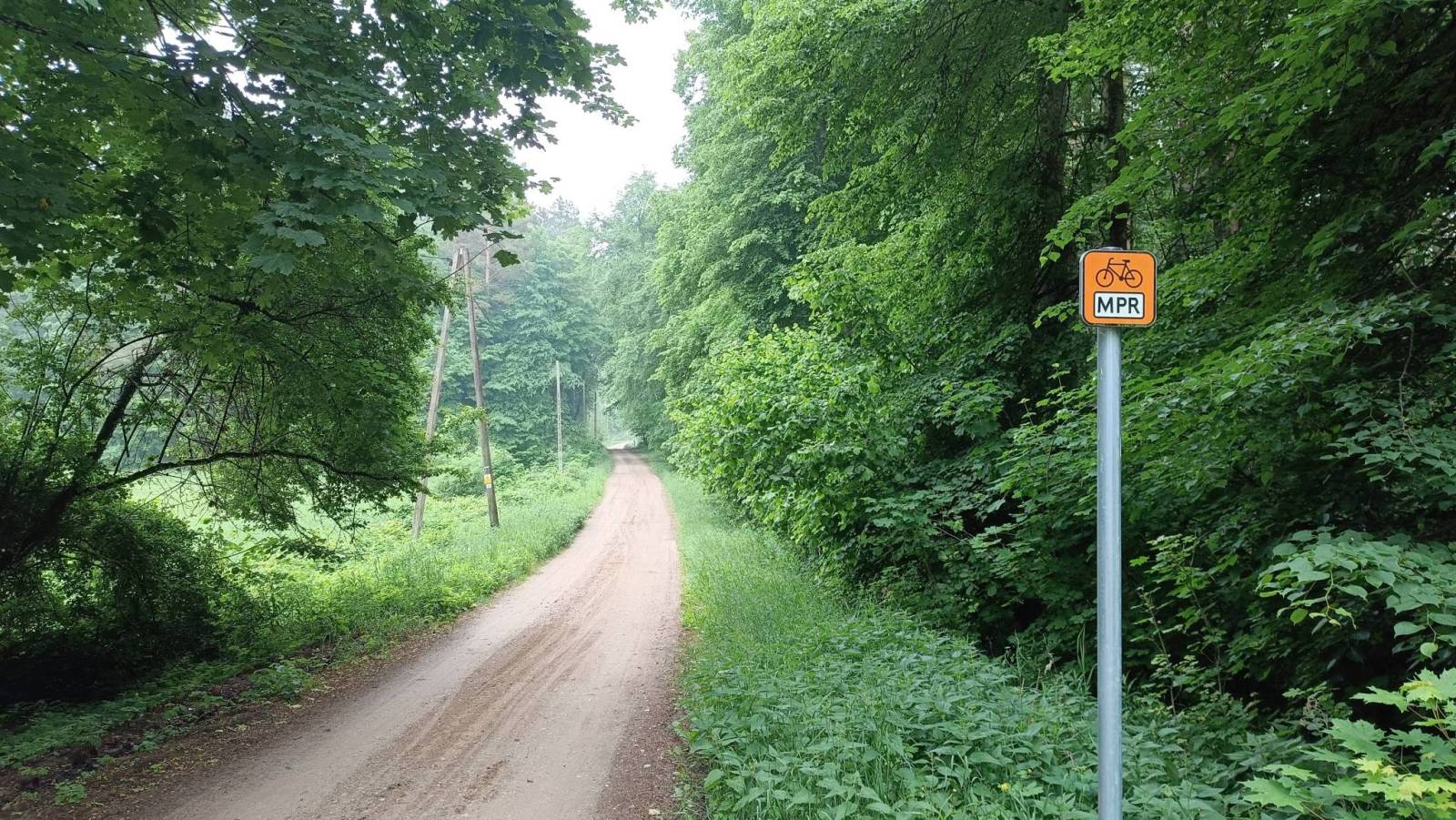 Zdjęcie 3